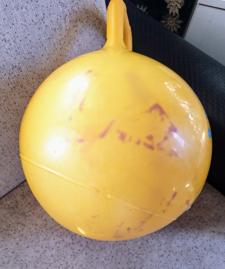 SÜNGER BOB ZIP ZIP TOP - Görsel 5