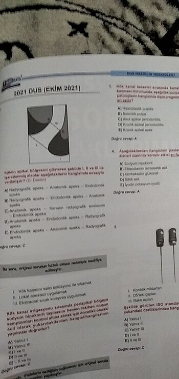  Beden Dusdata ENDODONTİ 