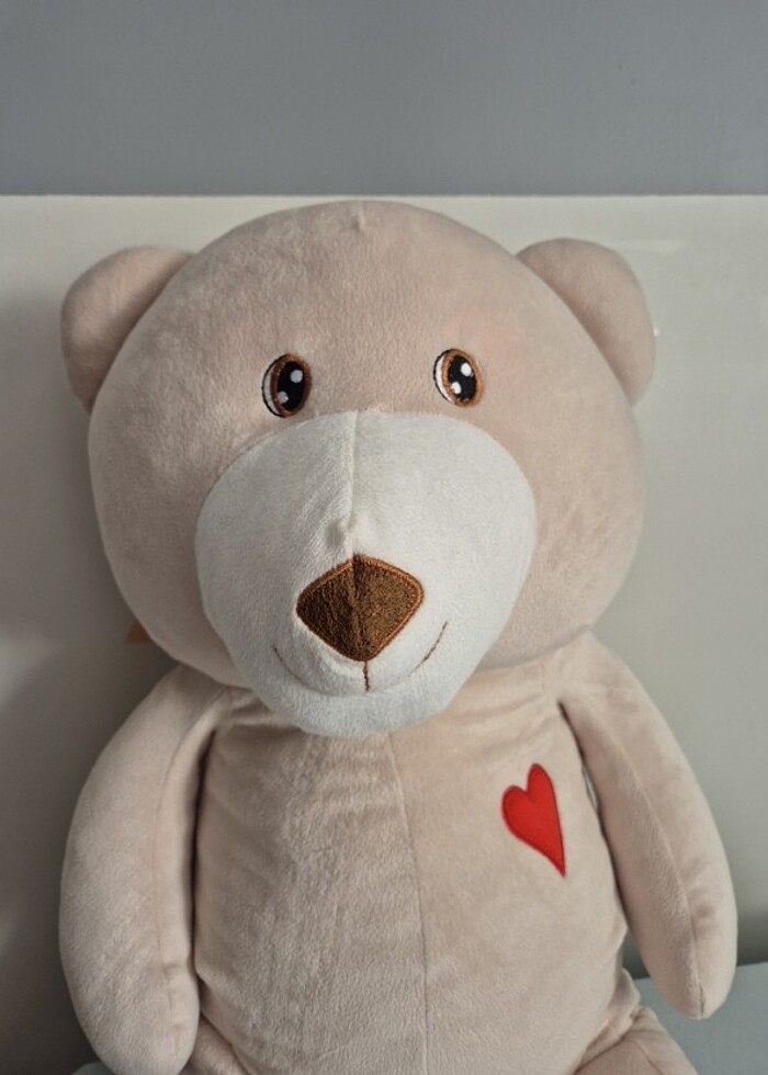 Büyük Ayıcık - Görsel 2