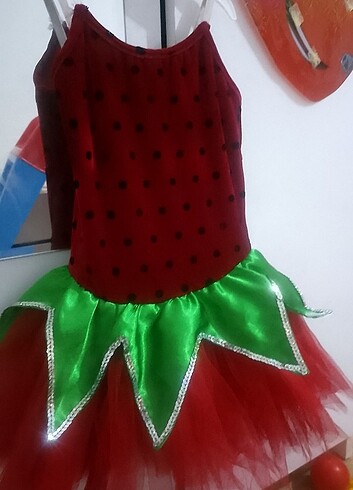 Çilek kız kostümü 