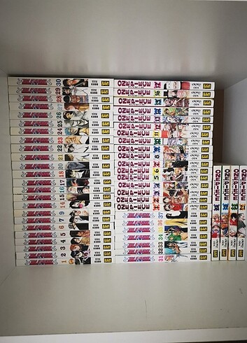 Bleach