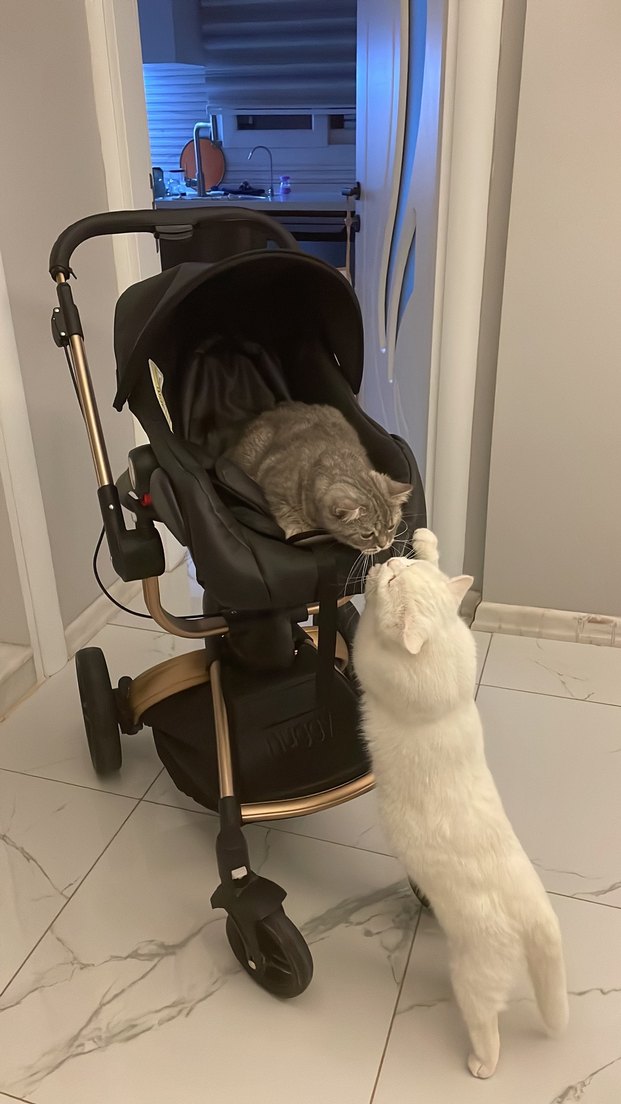 Siyah Çok Fonksiyonlu HUGGY 6 in 1 travel sistem bebek arabası - Görsel 5