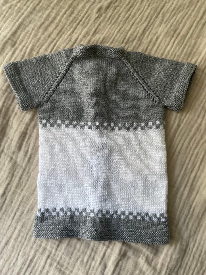 Gri Kısa Kollu Erkek Triko Biker Hırka - Görsel 2