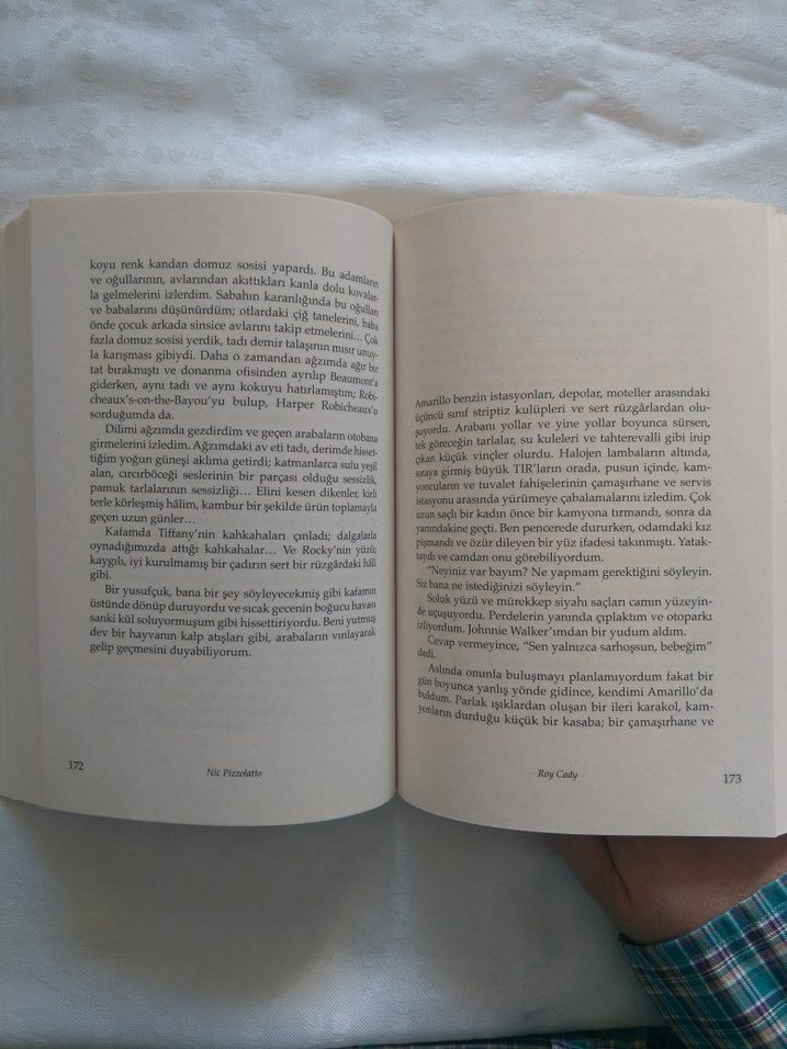 Nic Pizzolatto - Saklan Kaç Vur - Görsel 5