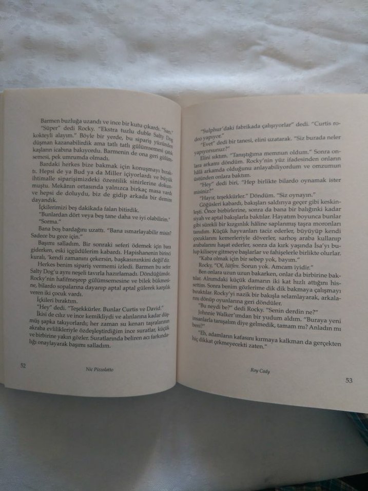 Nic Pizzolatto - Saklan Kaç Vur - Görsel 3