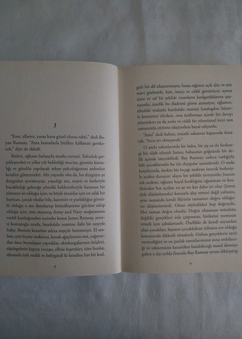 Deniz Feneri - Virginia Woolf - Görsel 3