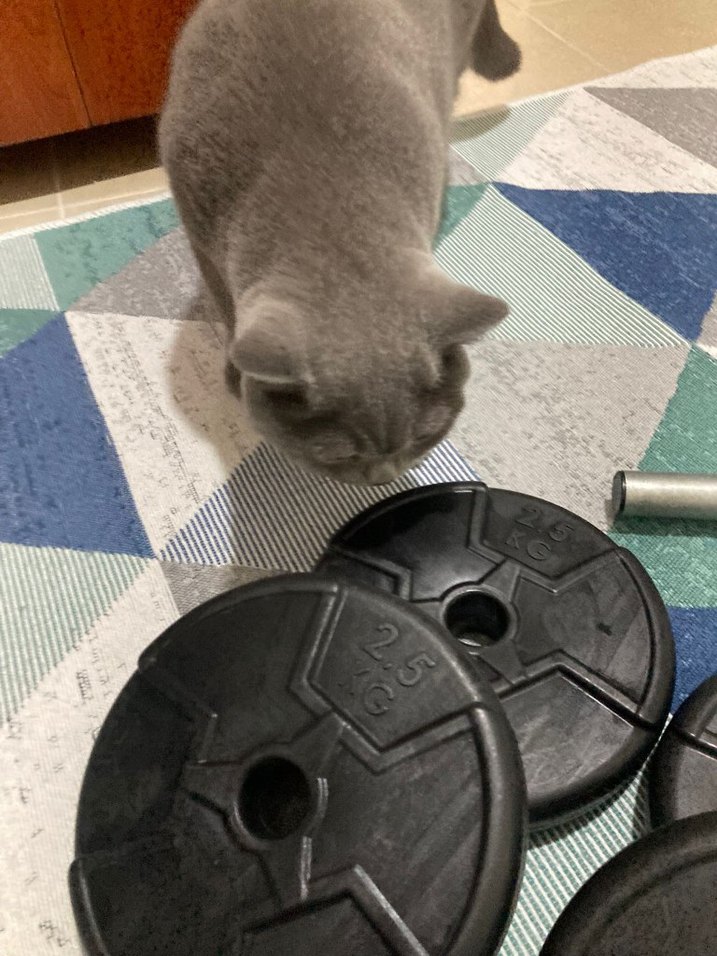 dambıl(dumbell) ağırlık barfiks Siyah Düz Egzersiz Matı 2 tane - Görsel 3