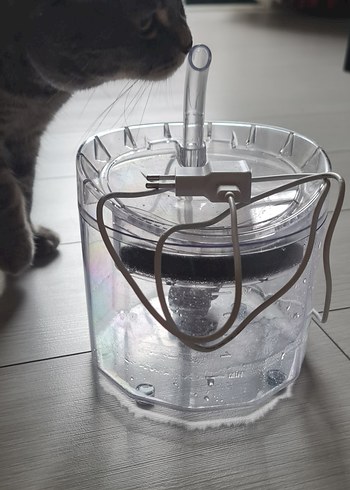 Kedi su sebili