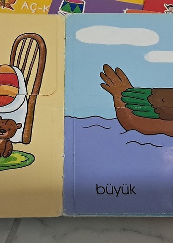  Beden Renk hareketli kitap