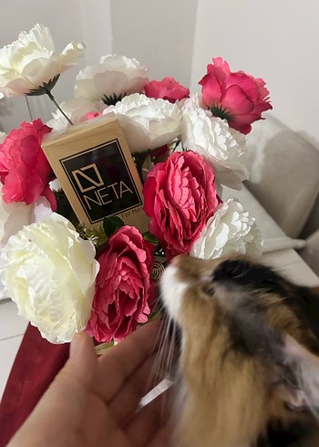 NETA For Men 100 ml Erkek Parfümü - Görsel 2