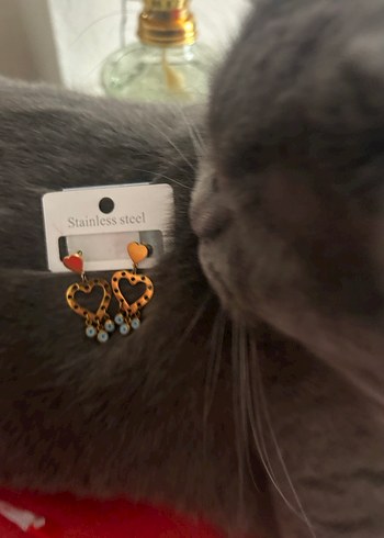 Sallantılı çelik küpe - Görsel 6