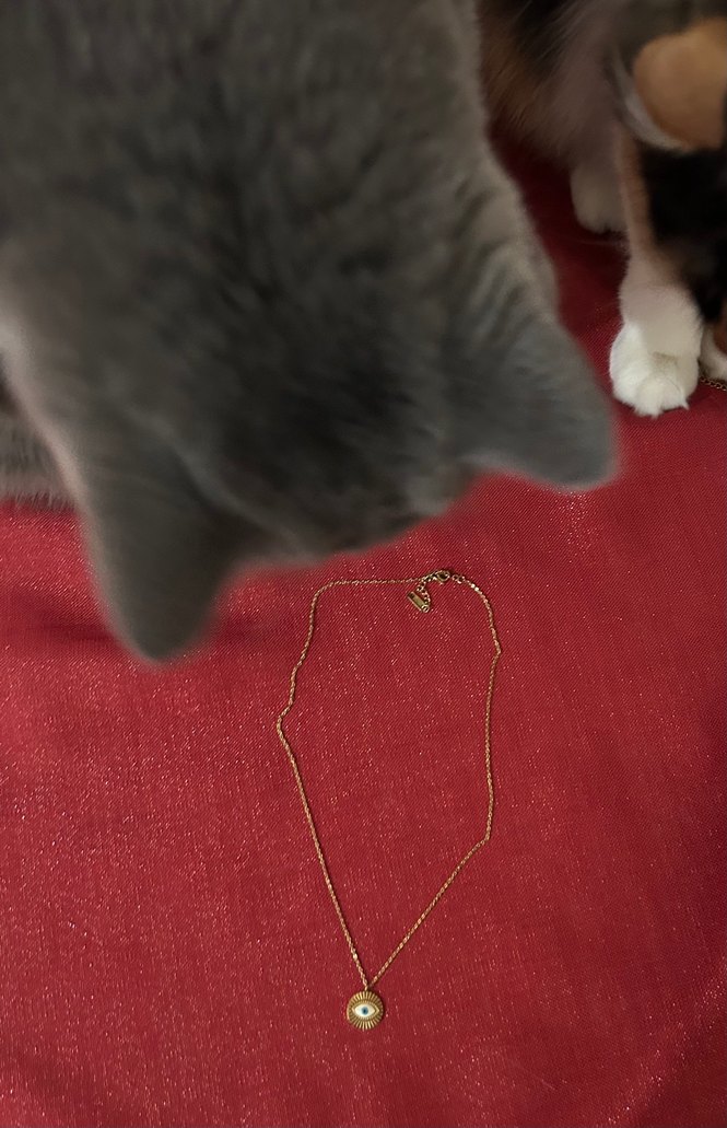 Çelik Kolye - Görsel 4