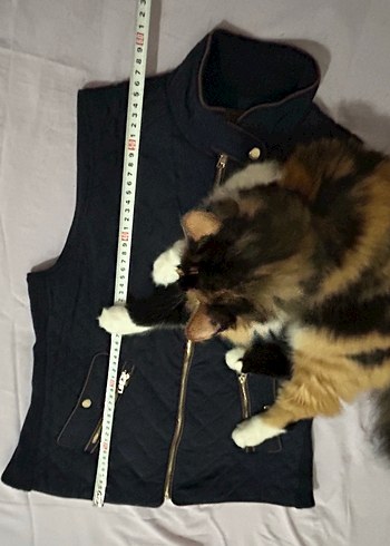 Kadın Lacivert Kapitone Yelek - Görsel 6