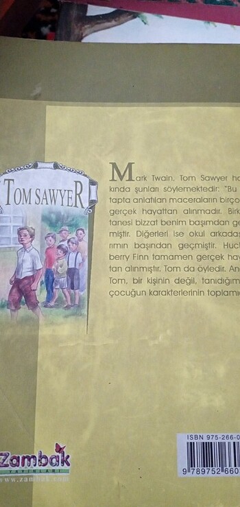  Tom sawyer