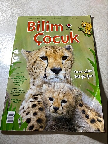 Bilim çocuk dergisi