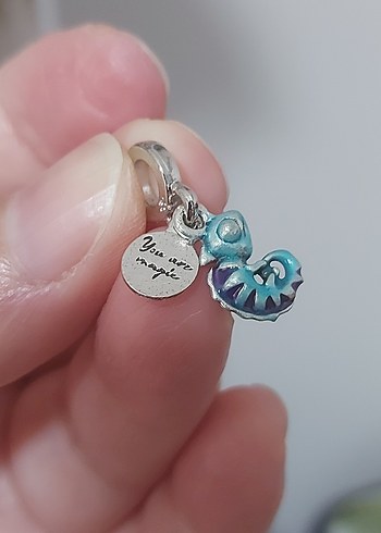 YENİ,316 L PASLANMAZ ÇELİK BUKALEMUN CHARM. - Görsel 2