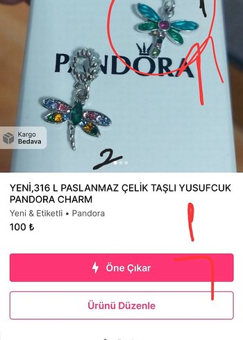Pandora Bileklik ve 2 CHARM