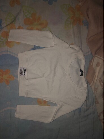 fittili crop