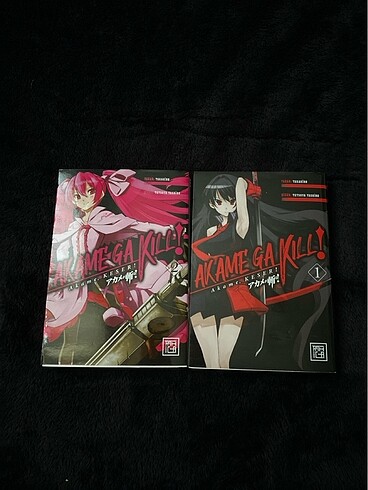 Akame ga kill manga
