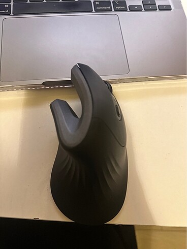  Beden Renk Trust mouse