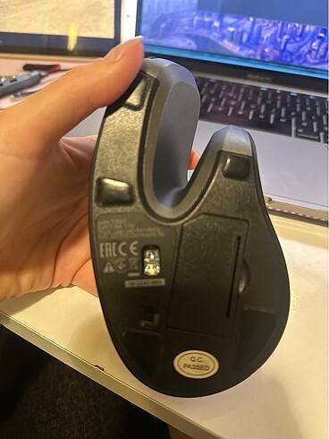  Beden Trust mouse