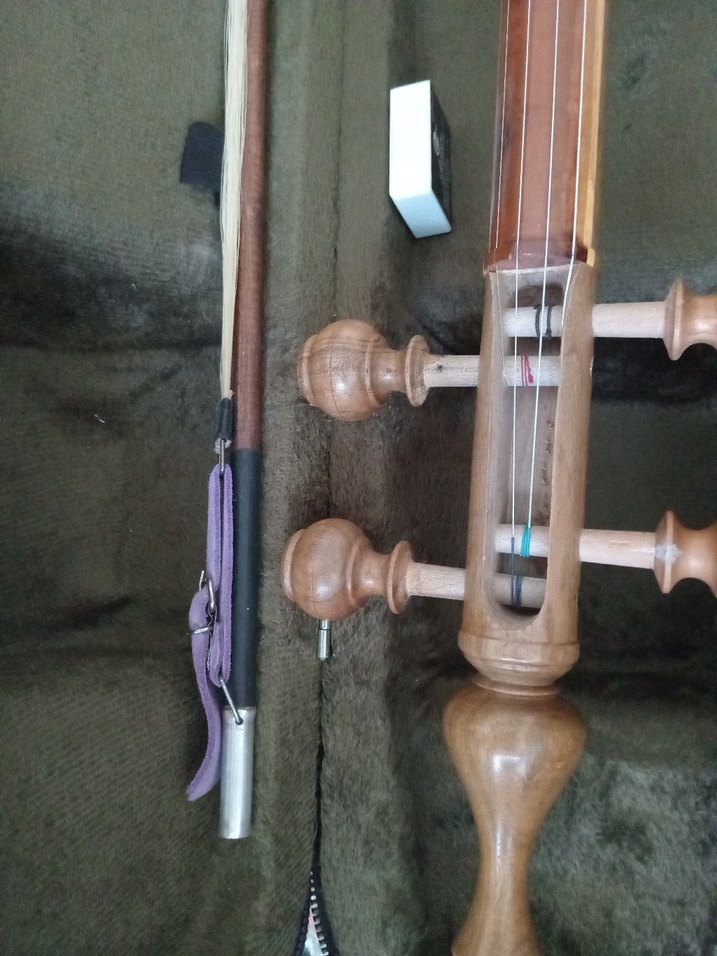 Koyu Camel Renkli İran Kemancesi - Görsel 2