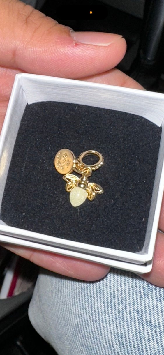 14 Ayar Altın Kaplama Fosforlu Ateşböceği Charm - Görsel 2