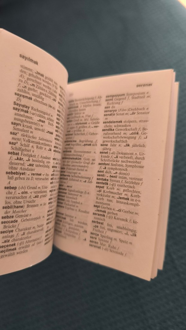 Langenscheidt Türkçe-Almanca Sözlük - Görsel 5