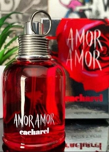 Amor amor