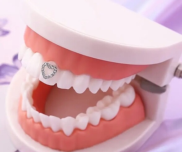 Diş taşı - Görsel 5