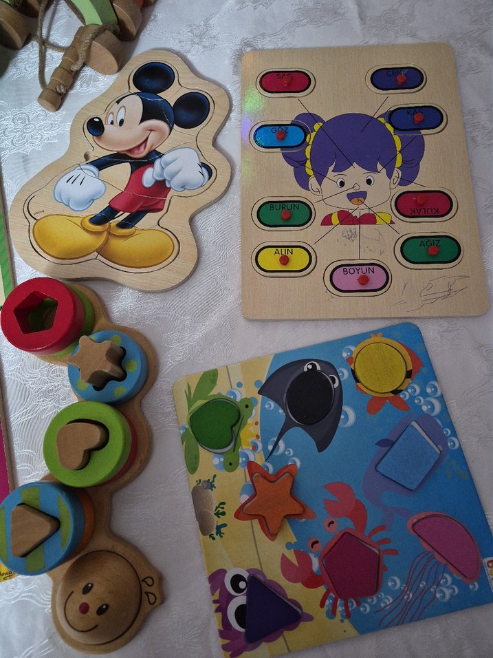 Çok Renkli Ahşap Eğitici Oyuncak Seti - Görsel 5