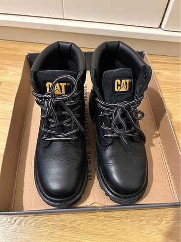 Cat Siyah Bot