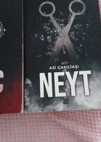 Beden Renk Asi çakıltaşı serisi 3 kitap