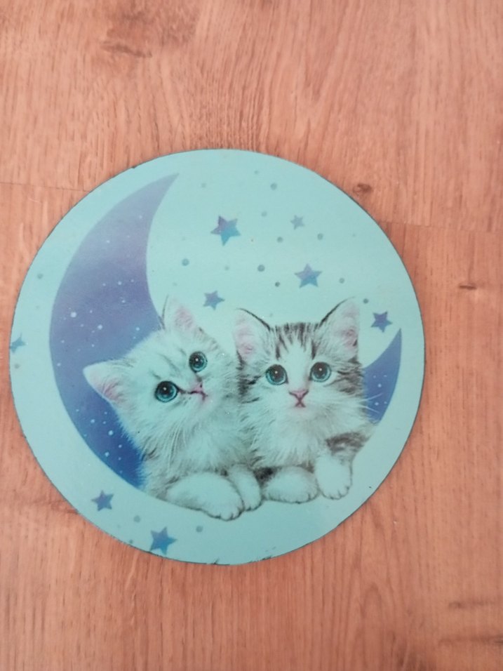 Pastel Mavi Kedi Temalı Bardak Altlıkları - Görsel 2