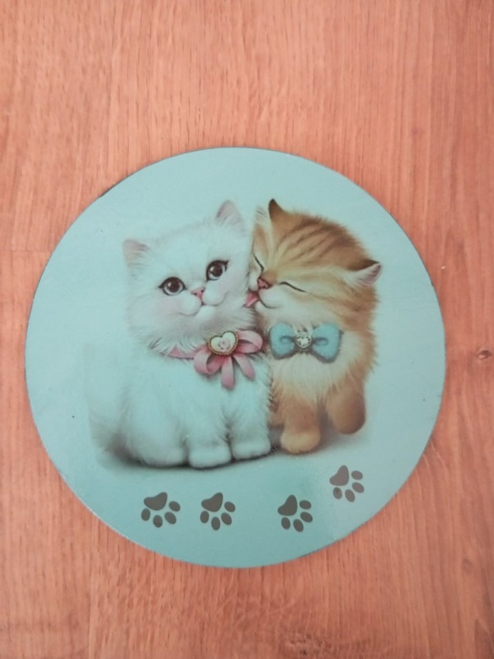 Pastel Mavi Kedi Temalı Bardak Altlıkları - Görsel 3