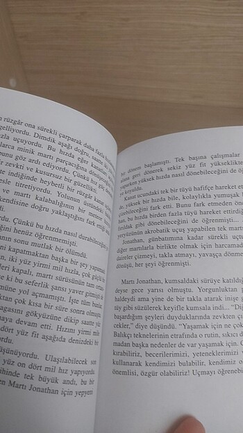 Beden Martı Jonathan Livingston - Richard Bach
