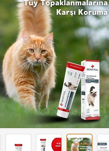  Beden Tüy yumağı önleyici malt anti hair ball kediler için