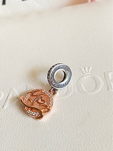 Pandora Anne ve Sonsuzluk Charm