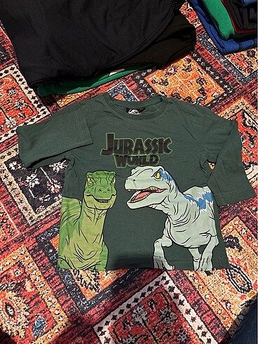 Erkek çocuk sweat