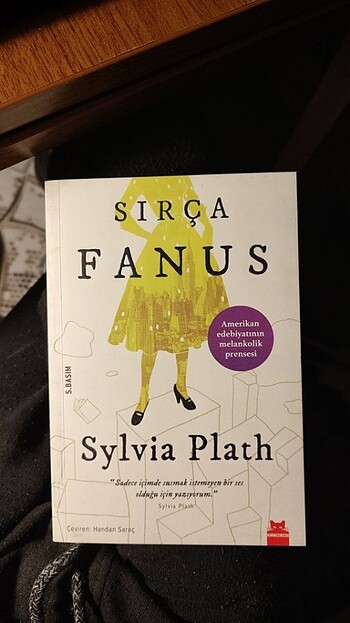 Sırça Fanus Sylvia Plath