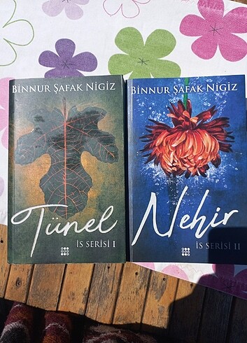 Binnur Şafak Nigiz- İs Serisi Tünel,Nehir