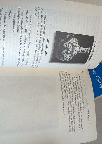 Eğitim Felsefesi pegem - Görsel 3