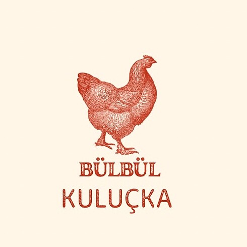 Manuel kuluçka makinası