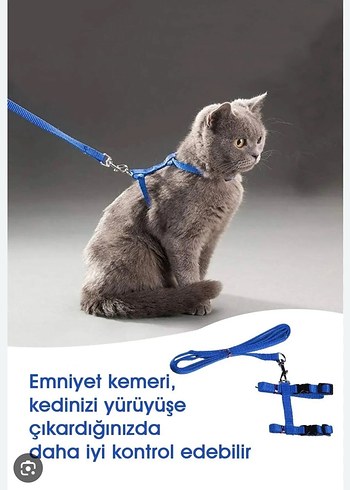 Kedi Tasması - Görsel 3