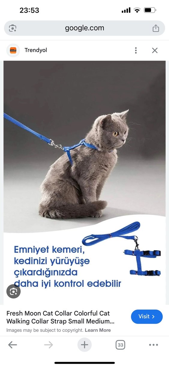 Kedi Tasması - Görsel 3