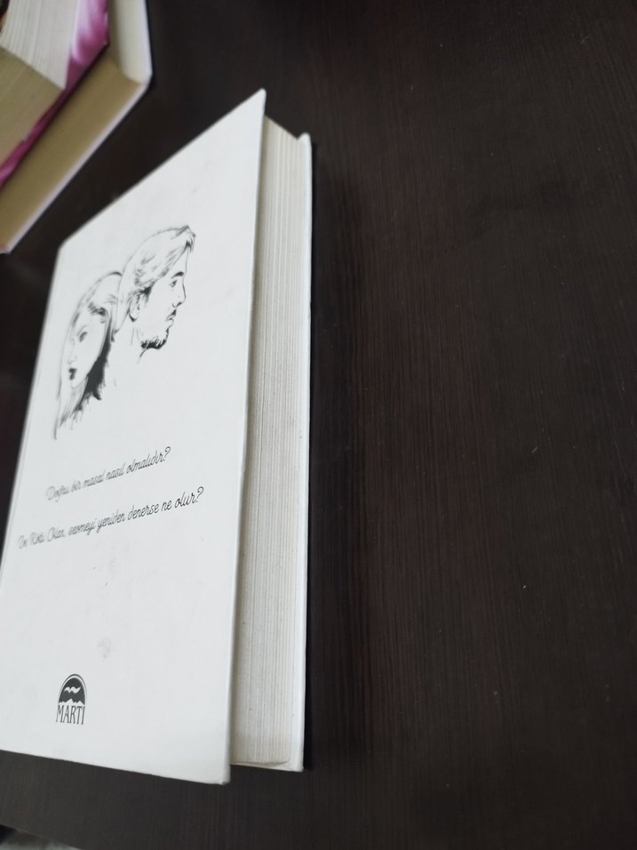 Martı - Doğru Bir Masal Kitabı - Görsel 2