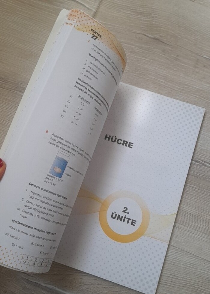 Tyt biyoloji biyotik - Görsel 2