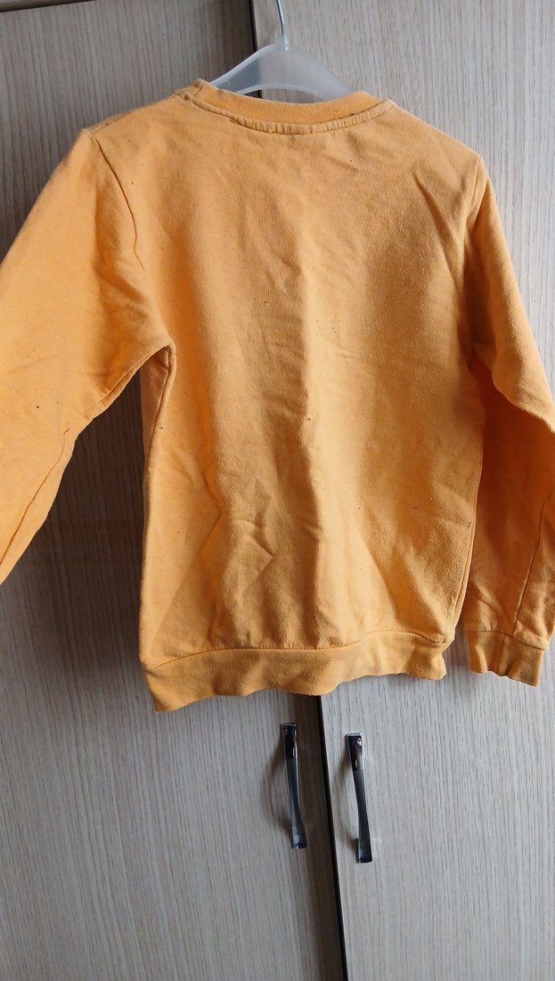 Sarı Baskılı Erkek Sweatshirt - Görsel 5