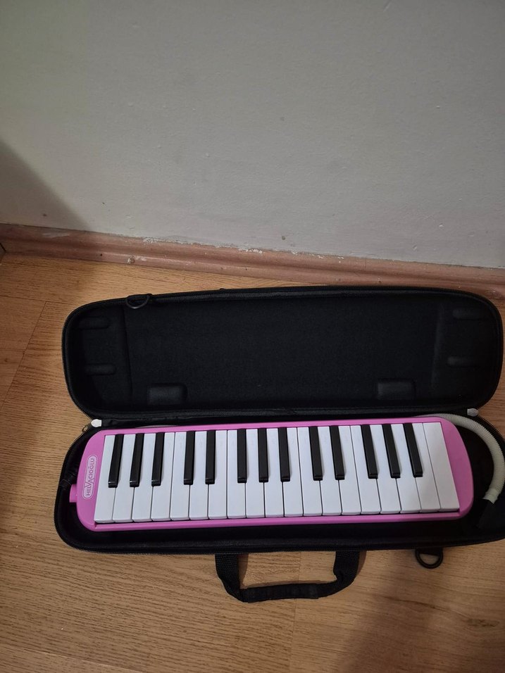 Helvacıoğlu melodika - Görsel 3