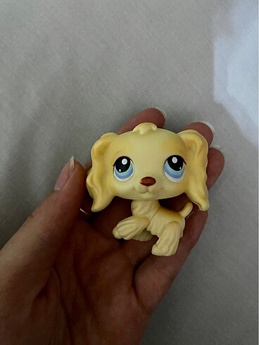 Lps spaniel